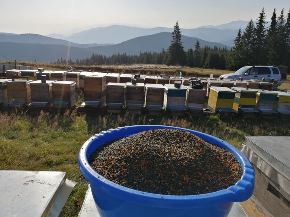 Stupina pe platou, în soare